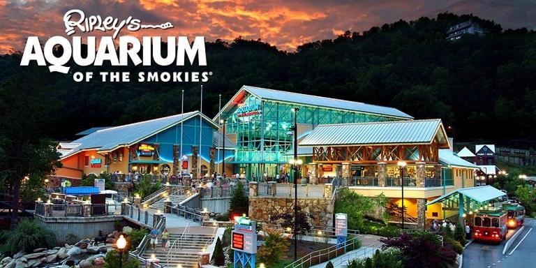 ピジョンフォージ Modern Style, Arcade, Fire Pit, Pet Friendlyヴィラ エクステリア 写真